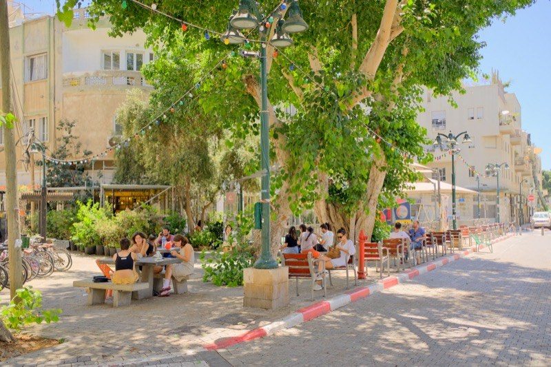 A tree-lined boulevard in Tel Aviv